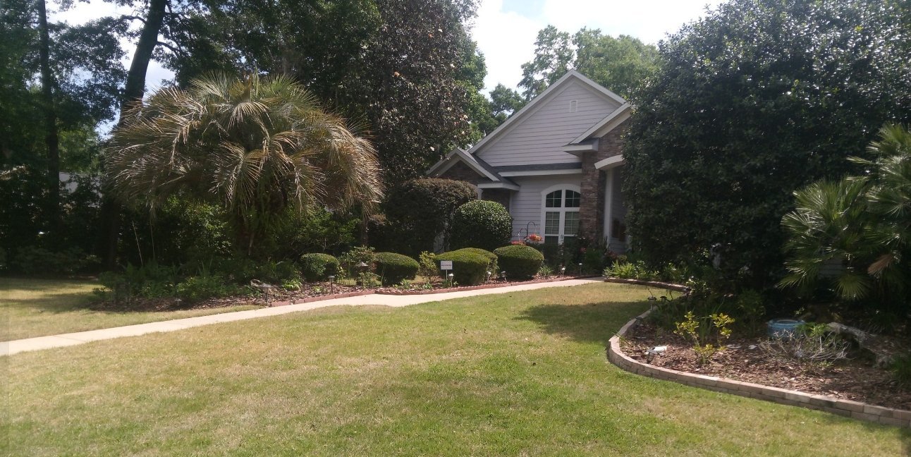 Beautifully landscaped front yard with palms and shrubs
